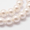 Shell Pearl Bead Strands X-BSHE-L026-03-6mm-5