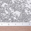 MIYUKI Delica Beads Small SEED-JP0008-DBS0252-4