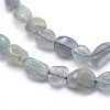 Natural Labradorite Beads Strands G-L550A-06-2