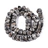 Natural Syenite Beads Strands G-D091-A32-2