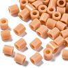 PE Fuse Beads DIY-R013-18-1
