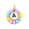 26Pcs Glass Seed & Acrylic Pendants PALLOY-JF04486-3