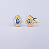 Brass Pave Marine Blue Cubic Zirconia Cartilage Earrings FS-WGEDAE7-02-1