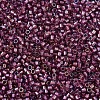 MIYUKI Delica Beads X-SEED-J020-DB1757-3
