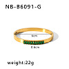 304 Stainless Steel Pave Cubic Zirconia Bangles FS-WG09E60-39-1