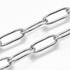 Non-Tarnish 304 Stainless Steel Paperclip Chains CHS-S006-JN957-1-A-1