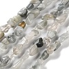 Natural Eagle Eye Stone Beads Strands G-P497-01C-14-1