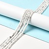 Natural Howlite Beads Strands G-I341-04-2