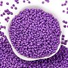 8/0 Baking Paint Glass Seed Beads X1-SEED-M012-02A-40-2