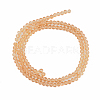 Glass Beads Strands LS-EGLA-A034-T1mm-D23-2