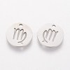 Non-Tarnish 304 Stainless Steel Charms STAS-Q201-T095-6-2
