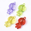 Transparent Acrylic Pendants TACR-S149-01-1