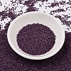 MIYUKI Delica Beads X-SEED-J020-DB2360-2