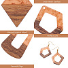 Fashewelry 30Pcs 15 Style Transparent Resin & Walnut Wood Pendants RESI-FW0001-04-4