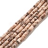 Natural Fossil Beads Strands G-I339-05-1