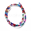 Handmade Lampwork Beads Strands LAMP-F022-01F-3