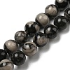 Natural Black Fossil Coral Beads Strands G-R494-A04-03-1