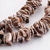 Natural Shell Bead Strands BSHE-P010-07-3