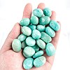 Natural Amazonite Healing Stones PW-WGD7FF2-12-1