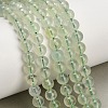Natural Prehnite Beads Strands GG-CBA6F9F-6mm-1