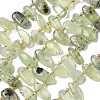 Natural Prehnite Beads Strands G-P604-A02-01-2