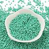 Baking Paint Glass Seed Beads SEED-S042-05B-60-2