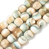 Natural Seashell Shell Beads Strands SH-CBAFEDD-01A-2