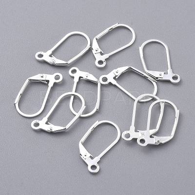 304 Stainless Steel Leverback Earring Findings STAS-K210-28S-1