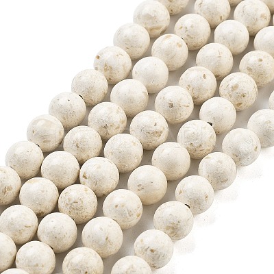 Natural Fossil Beads Strands G-H026-02C-1