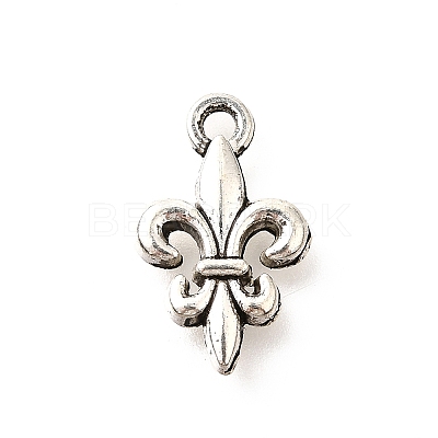 Tibetan Style Alloy Pendants TIBE-L008-15AS-1