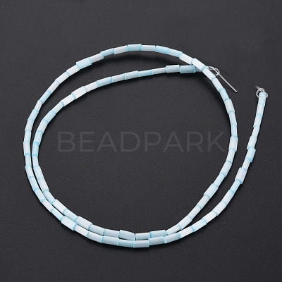 Glass Silk Stain Style Beads Strands GLAA-N047-001B-01-1