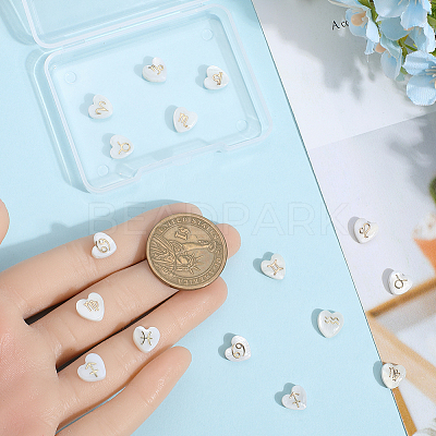 24Pcs 12 Styles Natural White Shell Beads BSHE-SP0001-01-1
