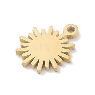 304 Stainless Steel Charms STAS-K286-01H-G-1