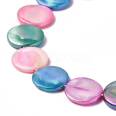 Natural Freshwater Shell Beads Strands X-SHEL-C003-02-1