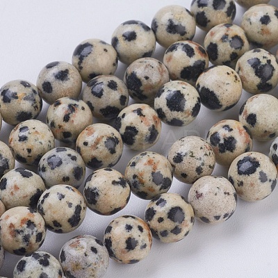 Natural Dalmation Jasper Beads Strands X-G-G515-6mm-06-1