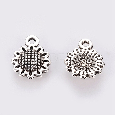Tibetan Style Alloy Charms LF10257Y-NF-1