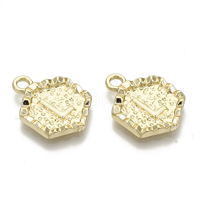 Alloy Pendants PALLOY-N157-003L-NR-1