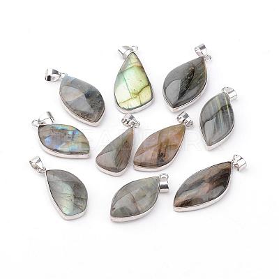 Natural Larvikite Pendants G-H047-01-1