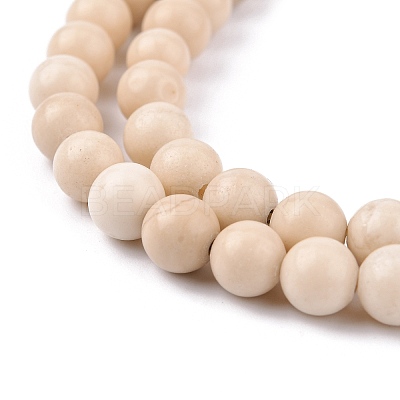 Natural Fossil Beads Strands LS-G-E110-6mm-2-1