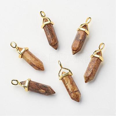Natural Picture Jasper Double Terminated Pointed Pendants G-G902-B12-1