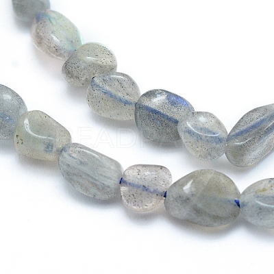 Natural Labradorite Beads Strands G-L550A-06-1