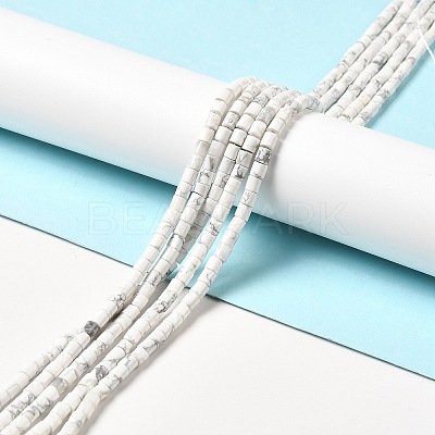 Natural Howlite Beads Strands G-I341-04-1