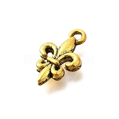 Tibetan Style Alloy Pendants TIBE-L008-15AG-1