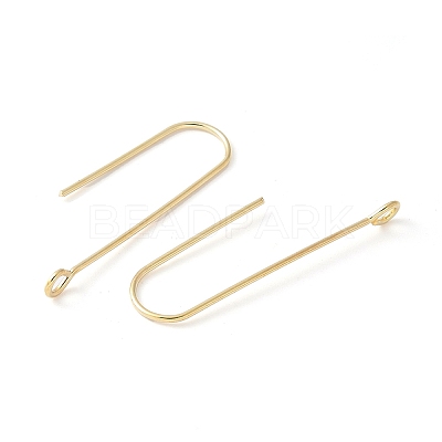 316 Surgical Stainless Steel Earring Hooks STAS-Z124-02D-G-1