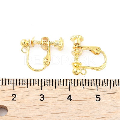 316 Stainless Steel Clip-on Earring Findings STAS-K274-09G-1