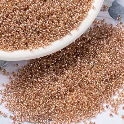 MIYUKI Round Rocailles Beads X-SEED-G009-RR1129-1