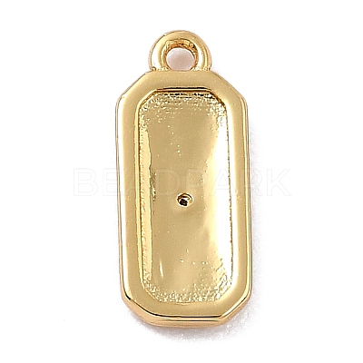 Brass Micro Pave Cubic Zirconia Charms LS-ZIRC-I054-12G-03-1