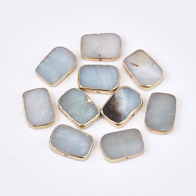 Electroplate Natural Flower Amazonite Beads G-S344-98-1