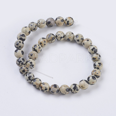 Natural Dalmation Jasper Beads Strands G-G515-6mm-06-1