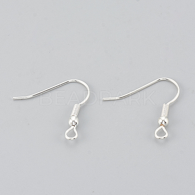 Iron Earring Hooks E135-S-NF-1